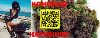 прущие грибы Северобайкальск