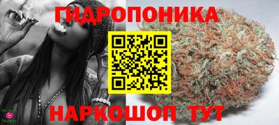 прущие грибы Северобайкальск